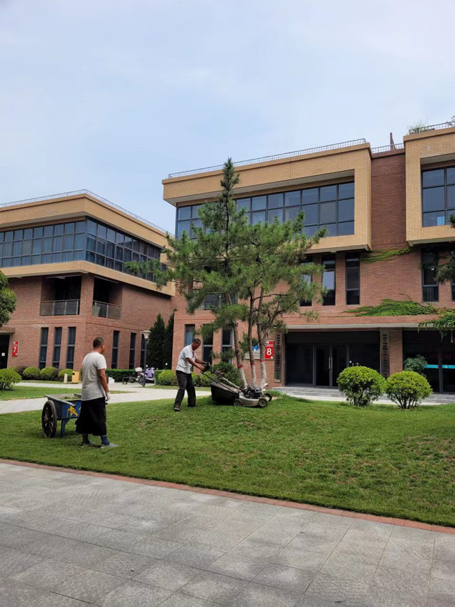 �L(ch��ng)�ſƼ��a(ch��n)�I(y��)�@