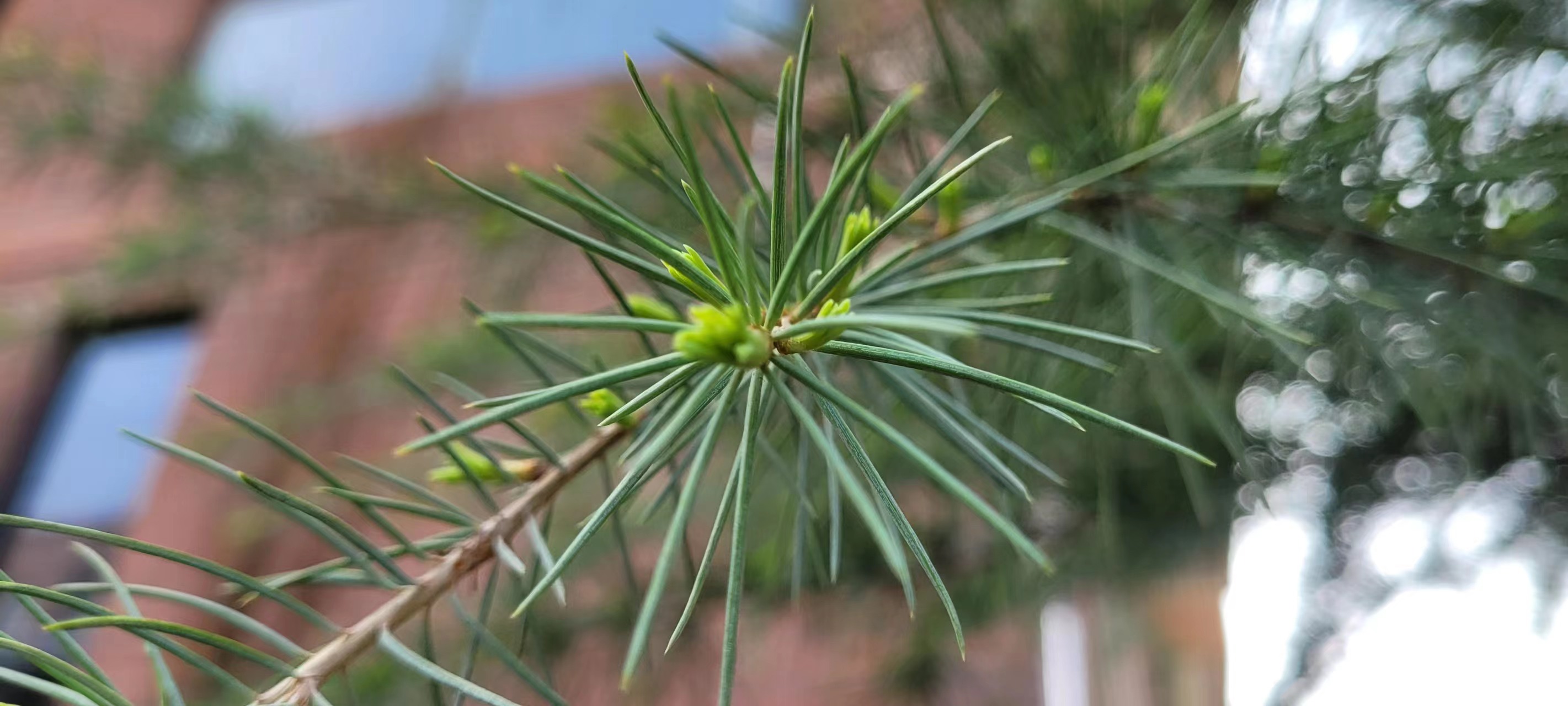 �L(ch��ng)�ſƼ��a(ch��n)�I(y��)�@