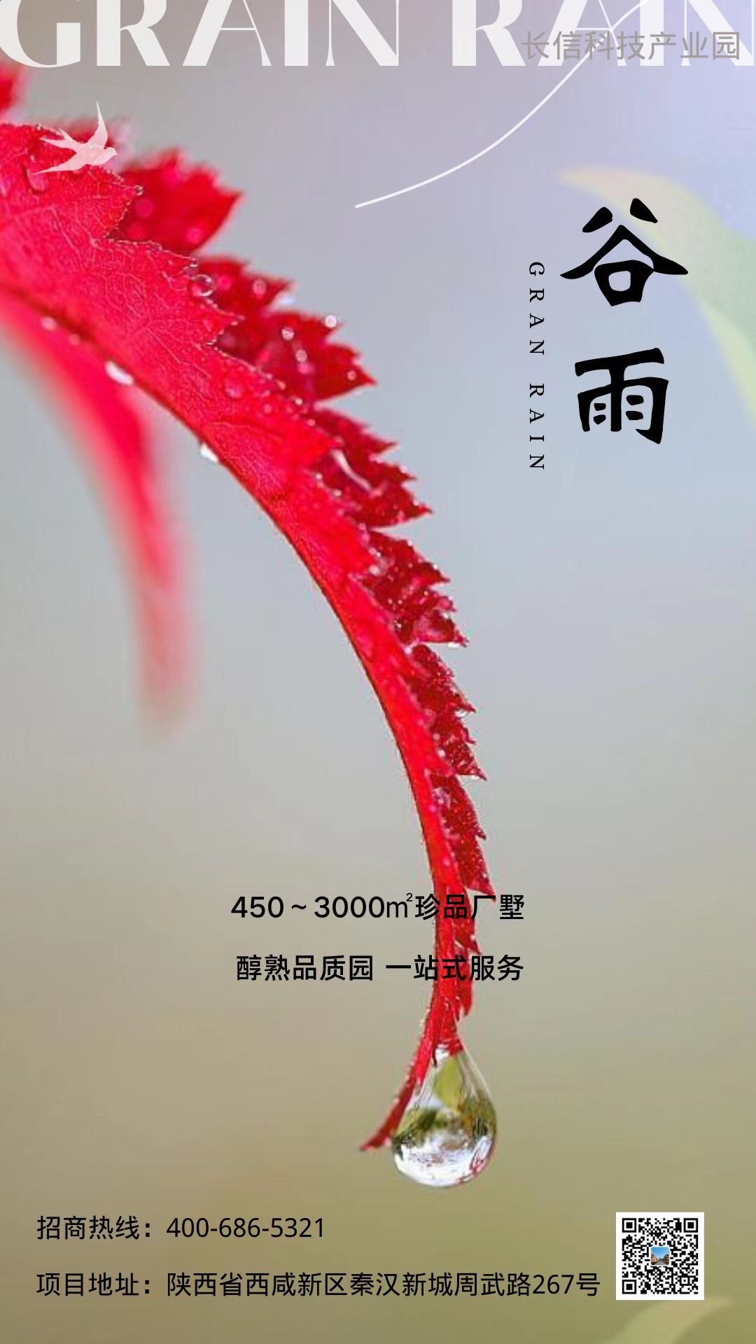 �ꝙ��������ò��ڶ���