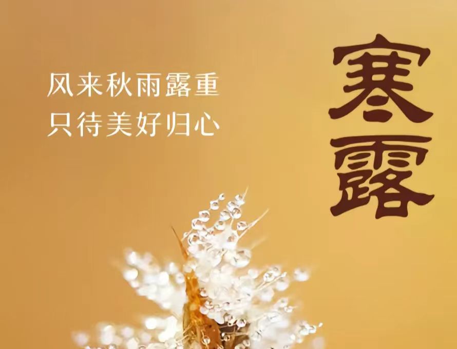 �L(f��ng)��(l��i)����¶����ֻ�����Úw�� ❙ ���պ�¶